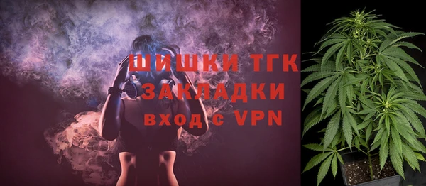 apvp Арсеньев