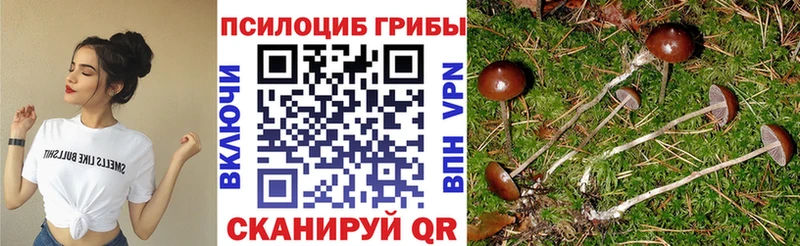 Галлюциногенные грибы мухоморы  купить наркоту  Сибай 